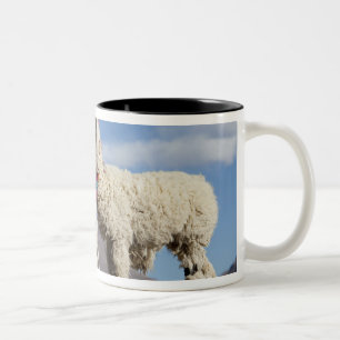 Caneca De Café Em Dois Tons Rebanho de lamas decorados na Puna, cordilheira do
