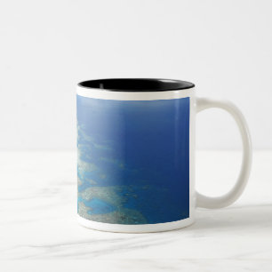 Caneca De Café Em Dois Tons Recife Tongue, Parque Marinho da Grande Barreira d