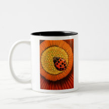 Red Ladybug na Flor