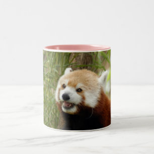 Caneca De Café Em Dois Tons red-panda-033