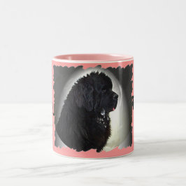 Caneca De Café Em Dois Tons Regras da Lista de Opções do Newf Mug