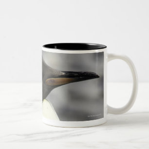Caneca De Café Em Dois Tons Rei pinguim, planície de Salisbúria, Geórgia su
