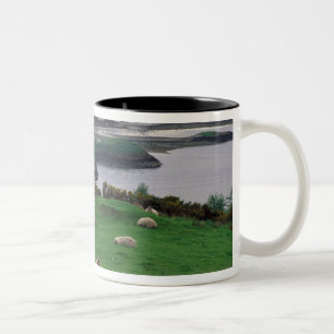 Caneca De Café Em Dois Tons Reino Unido, Escócia, Ilha de Skye, velho
