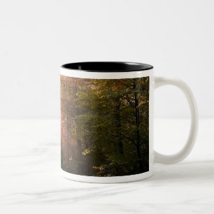 Caneca De Café Em Dois Tons Reino Unido. Floresta de Dean. Raio de sol penetra