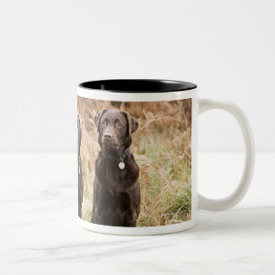 Caneca De Café Em Dois Tons Reino Unido, Inglaterra, Suffolk, floresta de