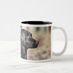 Caneca De Café Em Dois Tons Reino Unido, Inglaterra, Suffolk, floresta de