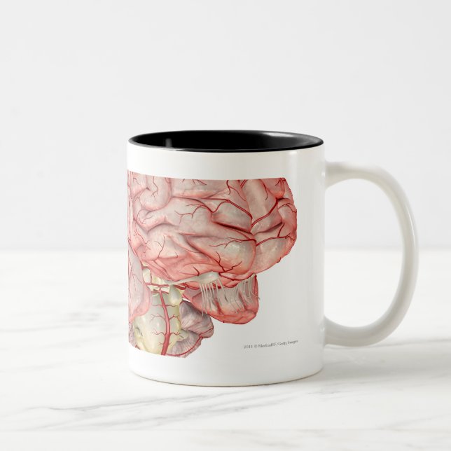 Caneca De Café Em Dois Tons Rendição de Realitic do cérebro humano (Direita)
