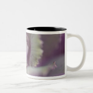 Caneca De Café Em Dois Tons Repolho decorativo