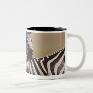 Caneca De Café Em Dois Tons Reserva nacional de Mara do Masai, Kenya, em julho