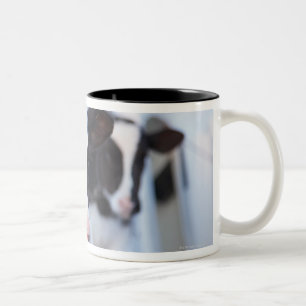 Caneca De Café Em Dois Tons Retrato da vaca