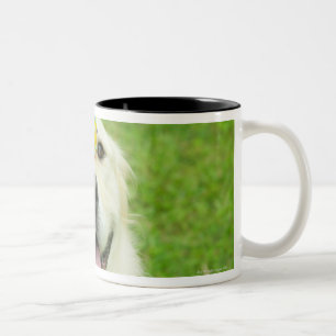 Caneca De Café Em Dois Tons Retrato de um cão com uma bola em seu nariz