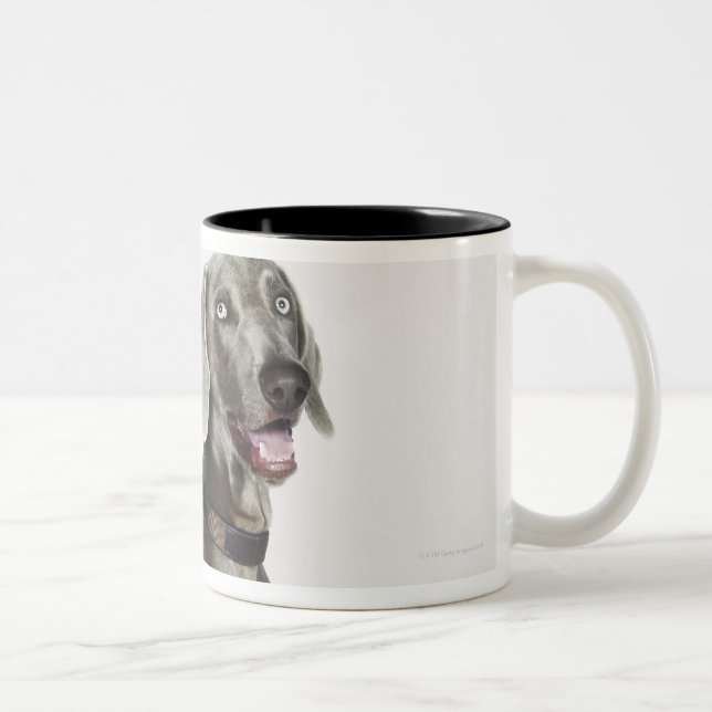 Caneca De Café Em Dois Tons Retrato do cão de Weimaraner (Direita)