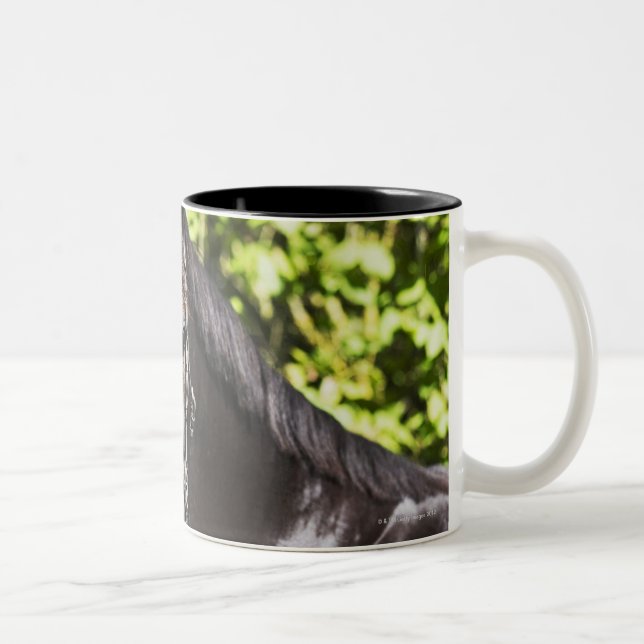 Caneca De Café Em Dois Tons retrato do cavalo marrom 2 (Direita)