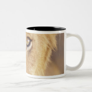 Caneca De Café Em Dois Tons Retrato do close up de um encontro masculino novo
