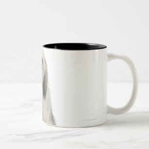 Caneca De Café Em Dois Tons Retrato do filhote de cachorro do terrier tibetano