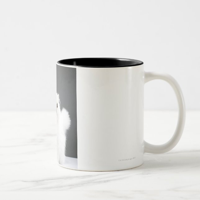 Caneca De Café Em Dois Tons Retrato do gatinho (Direita)