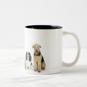 Caneca De Café Em Dois Tons Retrato dos gatos e dos cães que sentam-se junto
