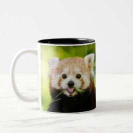 Caneca De Café Em Dois Tons Retrato Fofo de Panda Vermelho