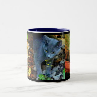 CANECA DE CAFÉ EM DOIS TONS RETRATOS DO CAT