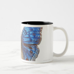 Caneca De Café Em Dois Tons Rhadama do Precis