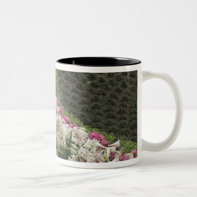 Caneca De Café Em Dois Tons Rhododendron (Rhododendron catawbiense) Charneca (Direita)