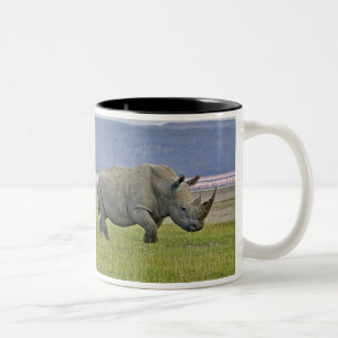 Caneca De Café Em Dois Tons Rinoceronte Branco e Flamingos Menores distantes,