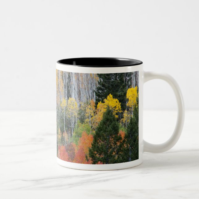 Caneca De Café Em Dois Tons Rio Provo e árvores de álamo (Direita)