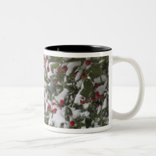 Caneca De Café Em Dois Tons robin abrigo numa árvore de azevinho após uma neve