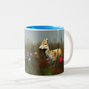 Caneca De Café Em Dois Tons Roe em uma Caneca-de-Prado