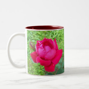 Caneca De Café Em Dois Tons Rosa in Bloom