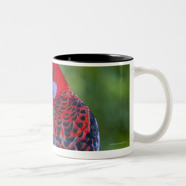 Caneca De Café Em Dois Tons Rosella carmesim & contexto das orquídeas (Direita)