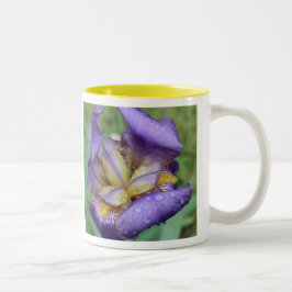 Caneca De Café Em Dois Tons Roxo Iris (Iris Germanica)