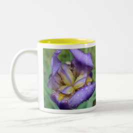 Caneca De Café Em Dois Tons Roxo Iris (Iris Germanica)