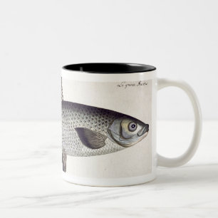 Caneca De Café Em Dois Tons (Salmo Maraena) placa Salmon XXVII 'de Ichthyolo
