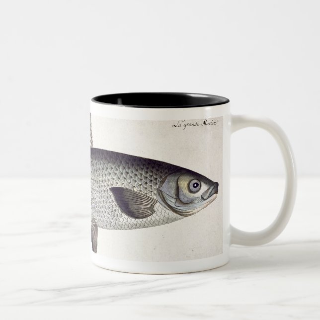 Caneca De Café Em Dois Tons (Salmo Maraena) placa Salmon XXVII 'de Ichthyolo (Direita)