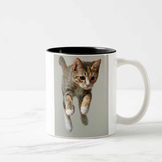 Caneca De Café Em Dois Tons Salto do gato de chita (Direita)