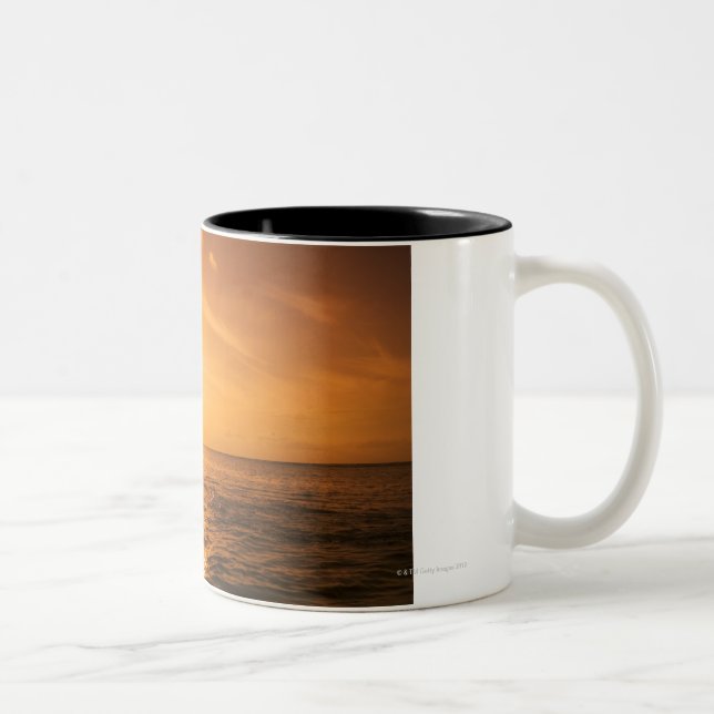 Caneca De Café Em Dois Tons Salto do golfinho de Bottlenose (Direita)