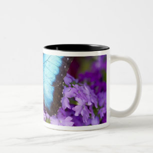 Caneca De Café Em Dois Tons Sammamish Washington Borboleta Tropical