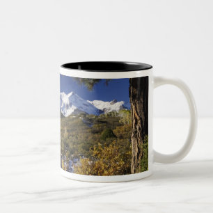 Caneca De Café Em Dois Tons San Juan Mountains e Aspen tree em cor