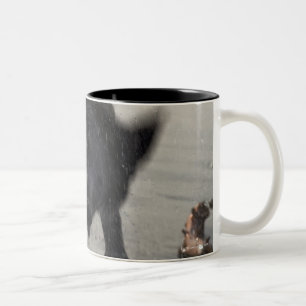 Caneca De Café Em Dois Tons Santa Barbara, Califórnia, EUA