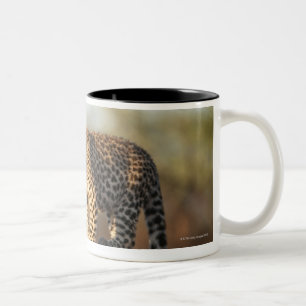 Caneca De Café Em Dois Tons Santuário de animais selvagens de Harnas, Namíbia