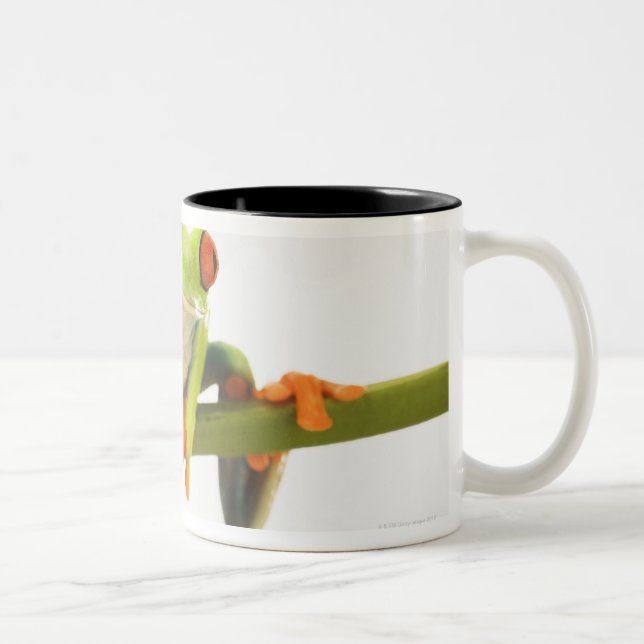 Caneca De Café Em Dois Tons Sapo de árvore na haste (Direita)