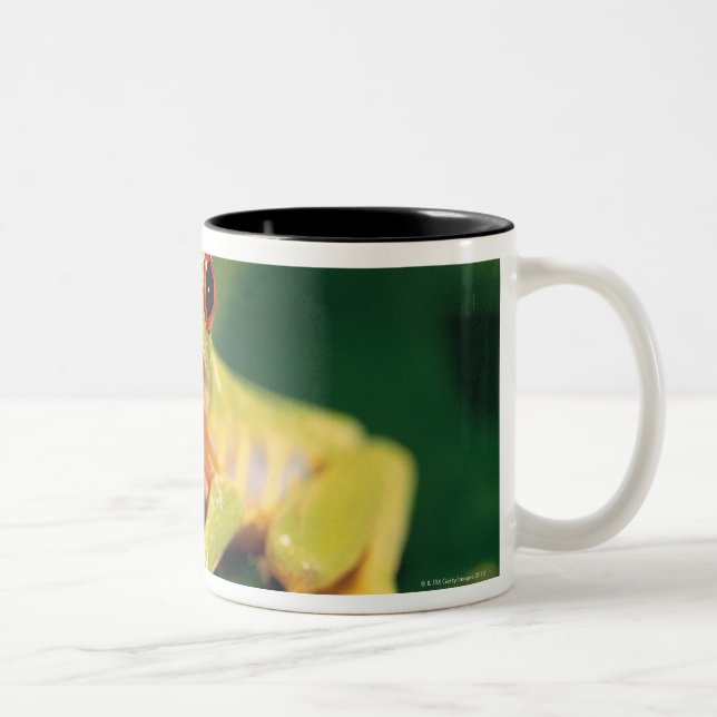 Caneca De Café Em Dois Tons Sapo de árvore vermelho do olho (Direita)