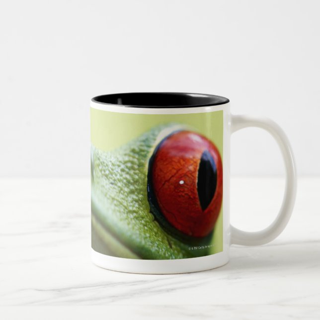 Caneca De Café Em Dois Tons sapo de árvore Vermelho-eyed (callidryas de (Direita)