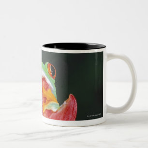 Caneca De Café Em Dois Tons Sapo de árvore Vermelho-Eyed na folha