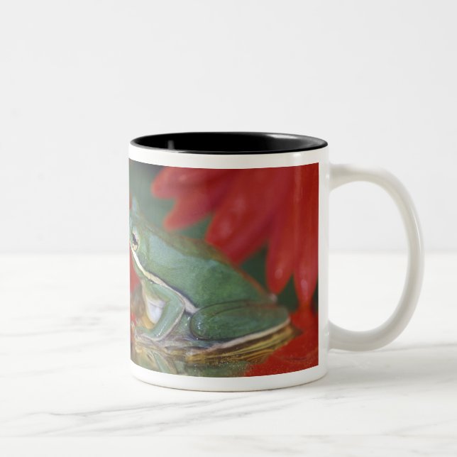 Caneca De Café Em Dois Tons Sapo e reflexos entre flores. Crédito como: (Direita)