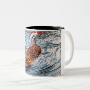 Caneca De Café Em Dois Tons Saudações de Natal Meu Pequeno Castor