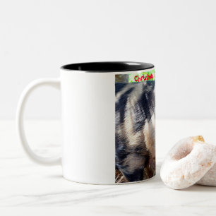 Caneca De Café Em Dois Tons Saudações de Natal Meu Velho Javali