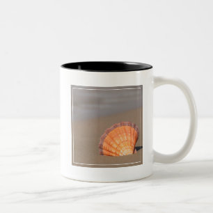 Caneca De Café Em Dois Tons Scallop Shell  Crete, piscina