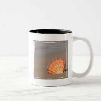 Caneca De Café Em Dois Tons Scallop Shell| Crete, piscina
